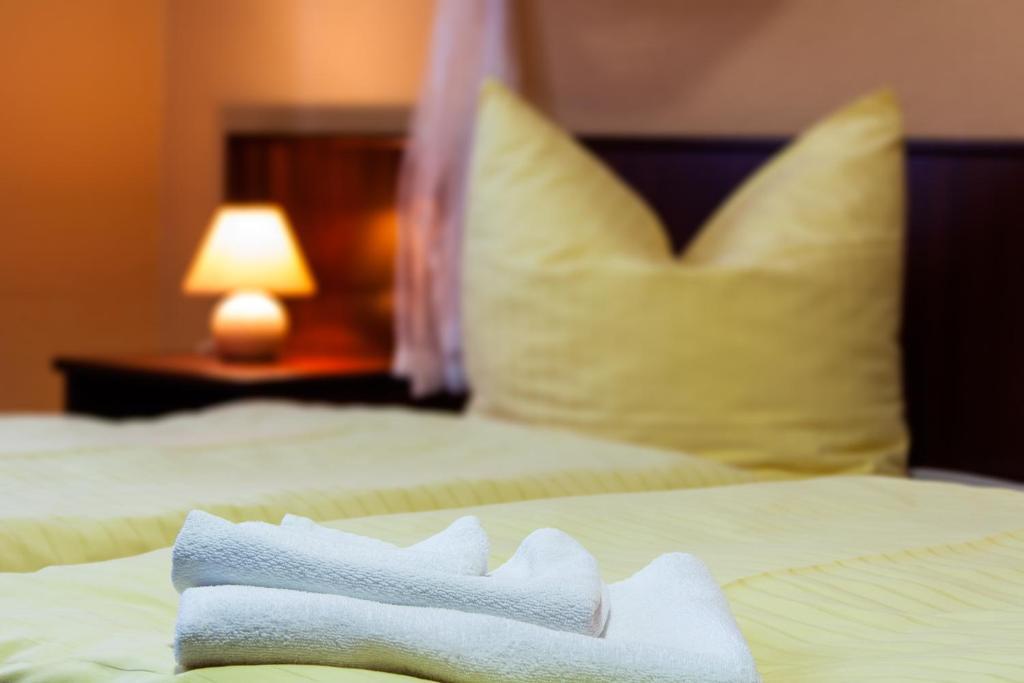 Landhotel Alt-Jocketa Pöhl Szoba fotó
